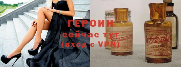 прущие грибы Новодвинск