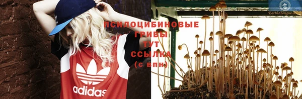стаф Нефтегорск