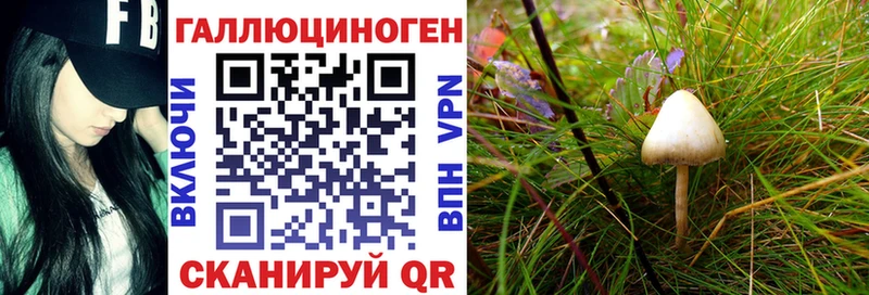 что такое наркотик  MEGA маркетплейс  Псилоцибиновые грибы прущие грибы  Йошкар-Ола 